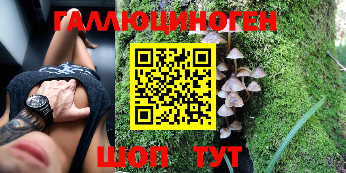 Псилоцибиновые грибы мицелий Минусинск