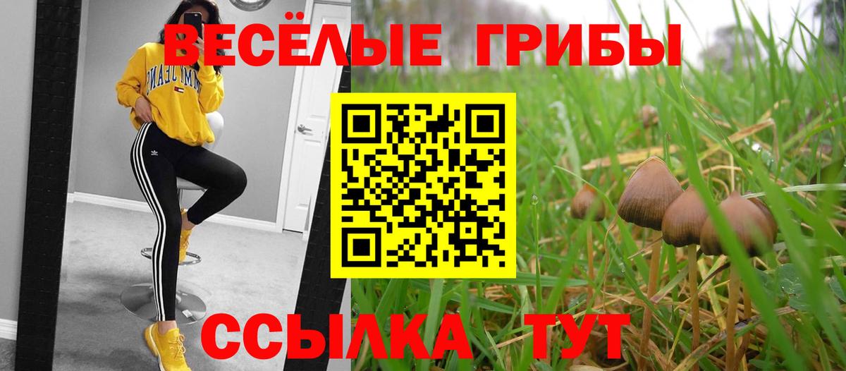 Галлюциногенные грибы ЛСД  даркнет сайт  Минусинск  Вход с VPN 