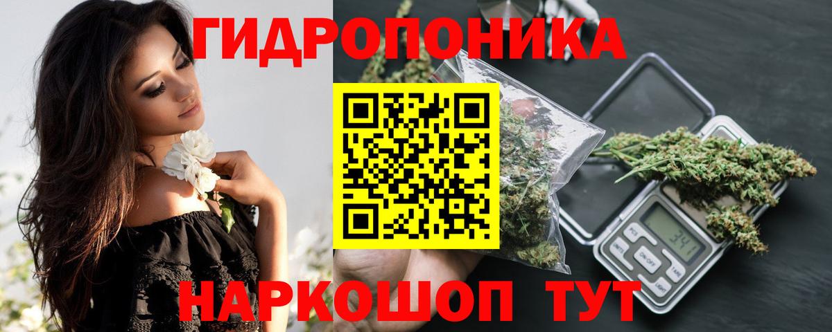 Бошки Шишки планчик Минусинск
